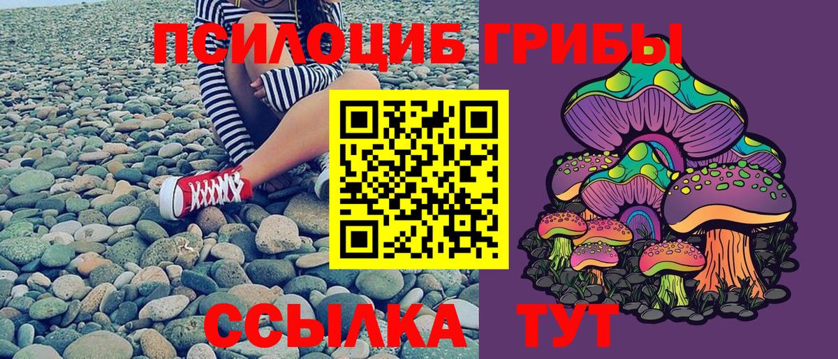 Алушта  Псилоцибиновые грибы мицелий  Вход с VPN 